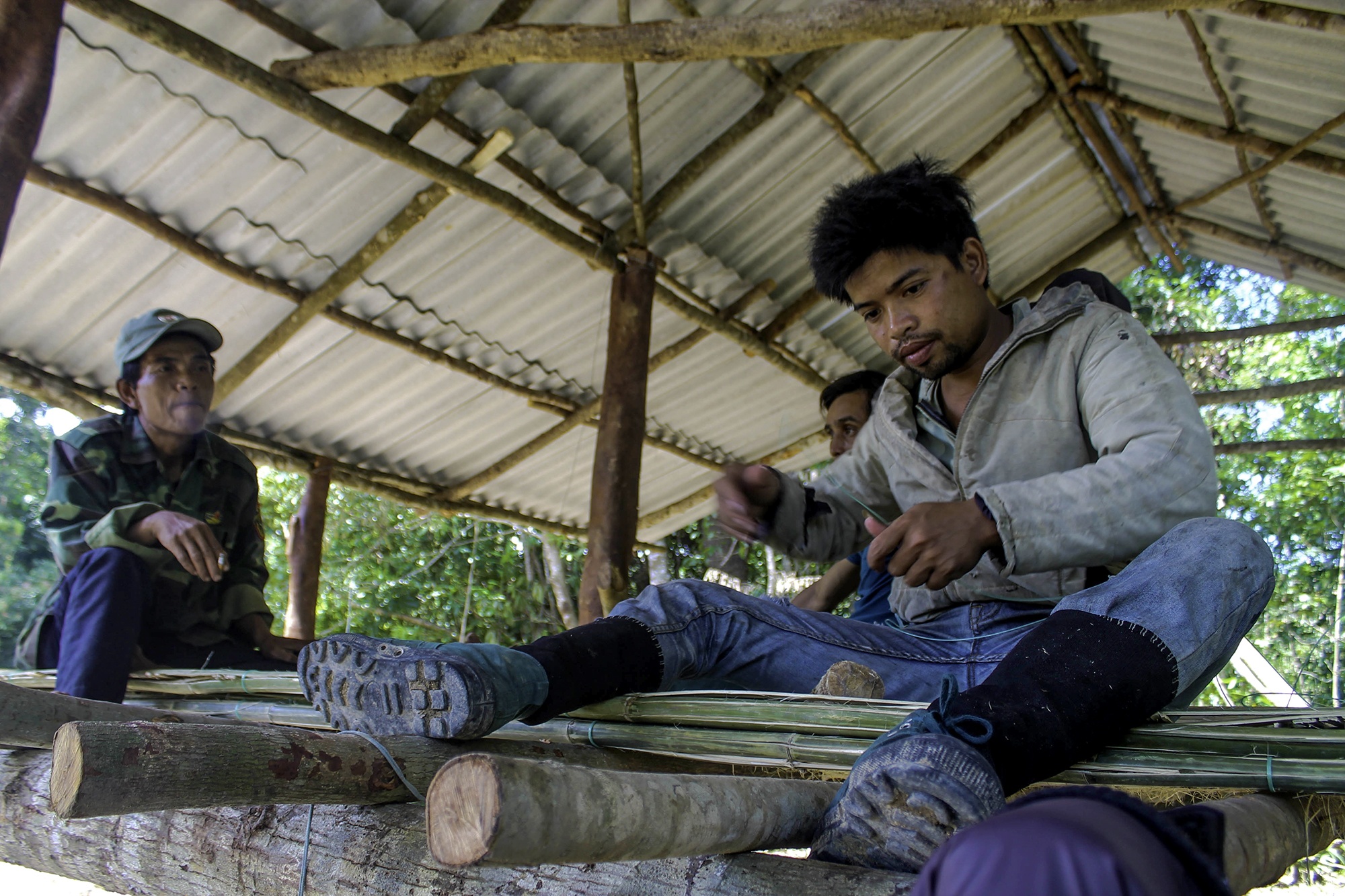 Dan dung trai bao ve 1.000 ha rung anh 2