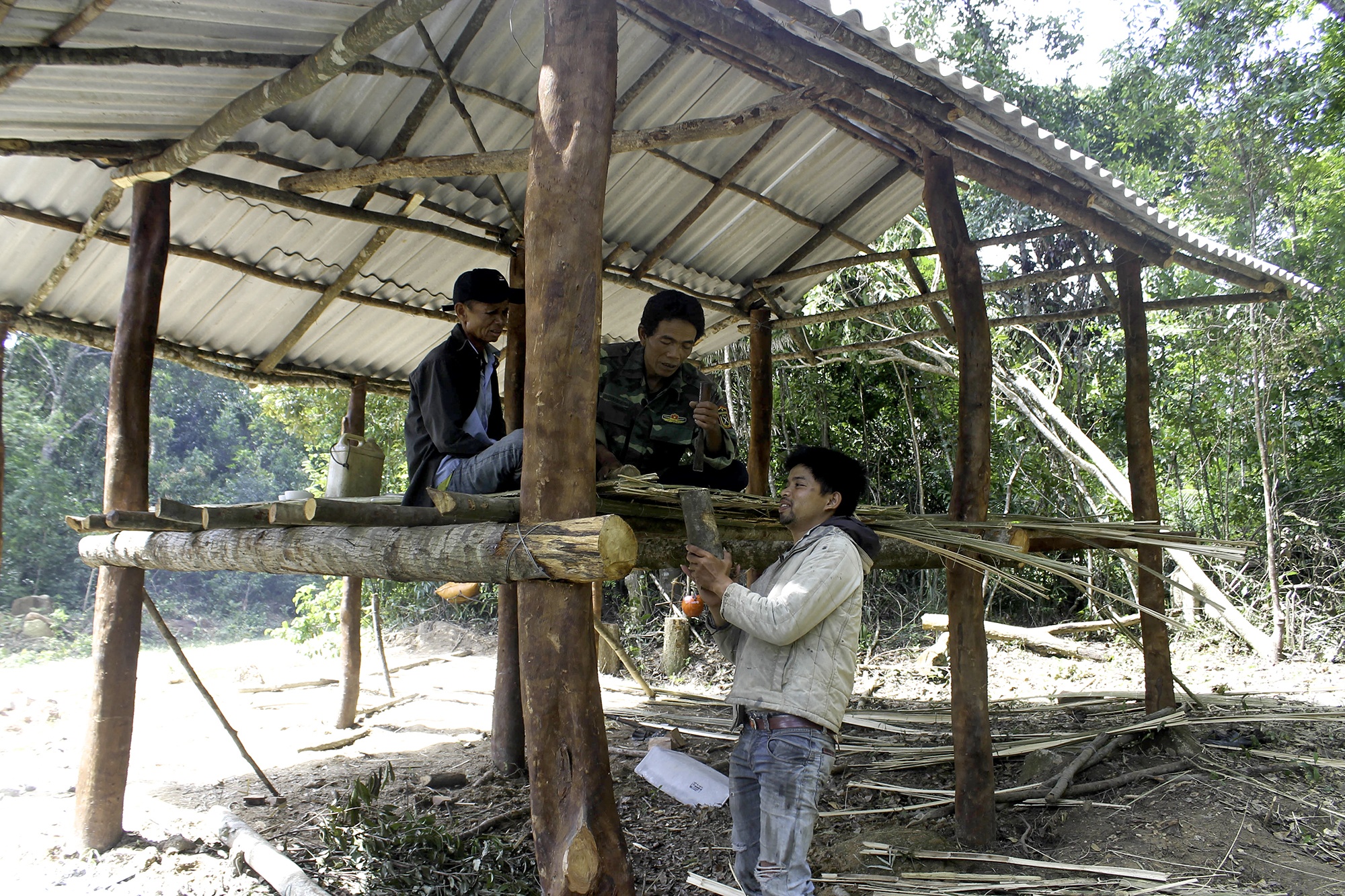 Dan dung trai bao ve 1.000 ha rung anh 1