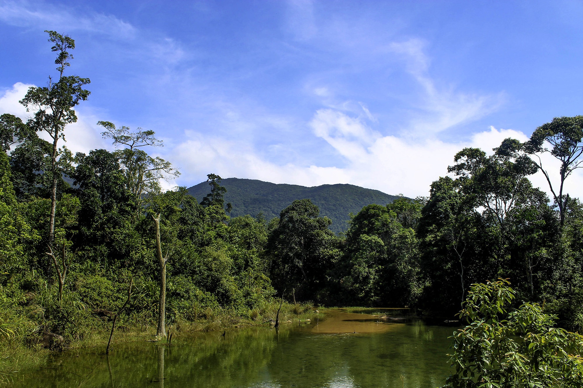 Dong bao Van Kieu dung trai bao ve rung hinh anh