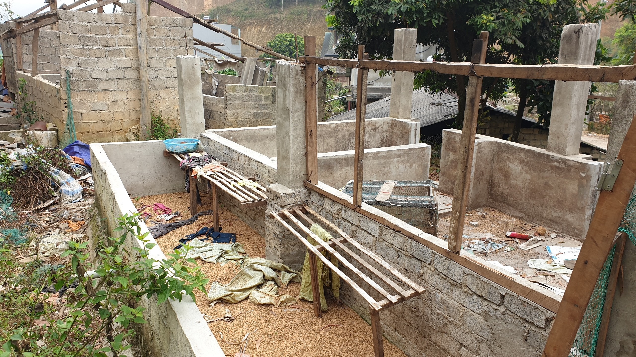 Nu sinh giao ga dip Tet anh 2