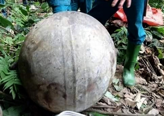 Vat the la roi xuong rung phong ho hinh anh