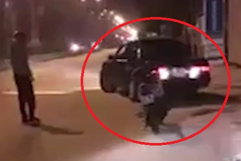 Tai xe nghi say xin lai oto dam loan xa hinh anh