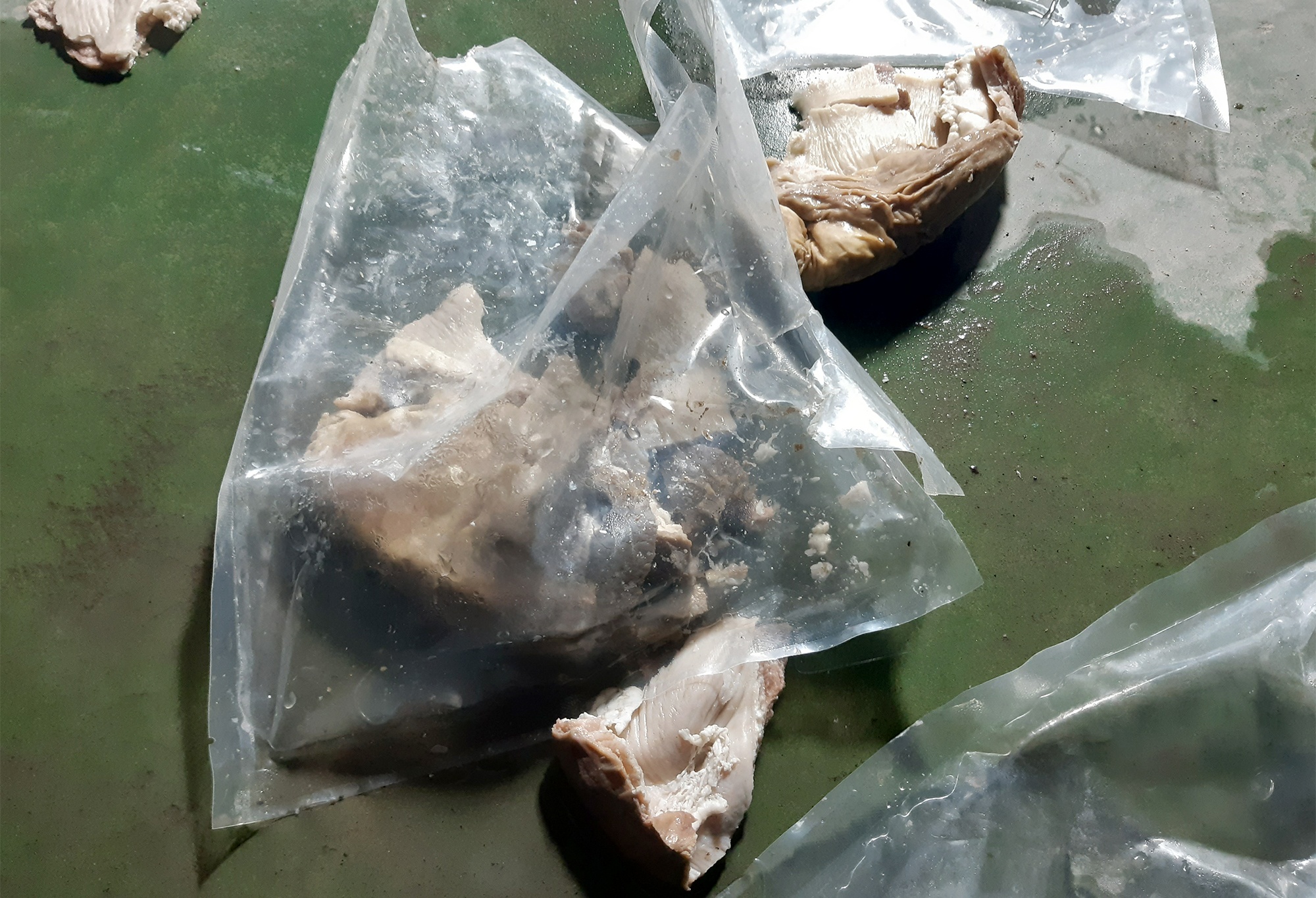 Giau ma tuy trong da day lon anh 3