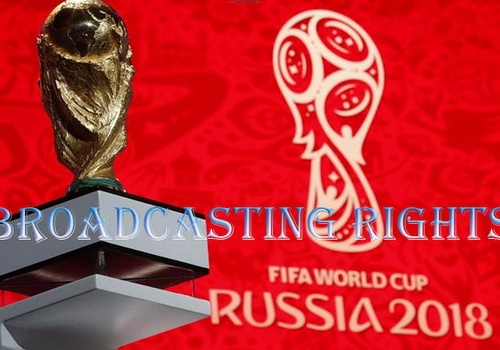 Ban quyen World Cup 2018: Khan gia Viet Nam phai cho phut cuoi hinh anh