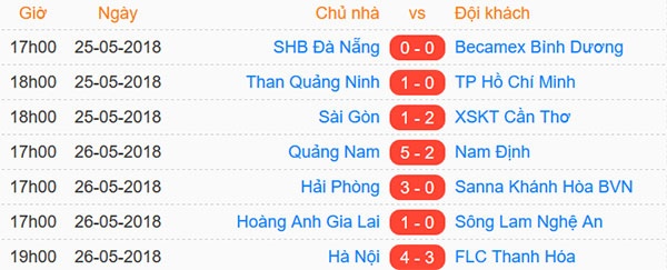 Tran HAGL vs SLNA anh 2