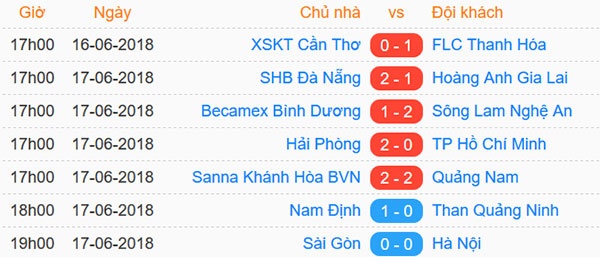 CLB Da Nang vs HAGL anh 2