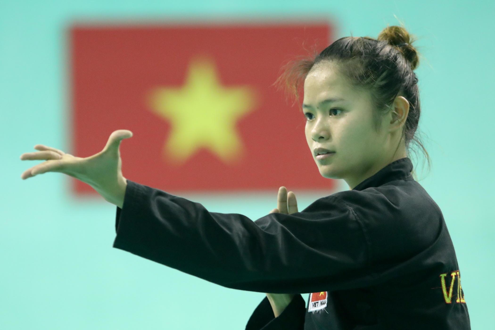 Pencak silat: Mo vang the thao Viet Nam anh 8