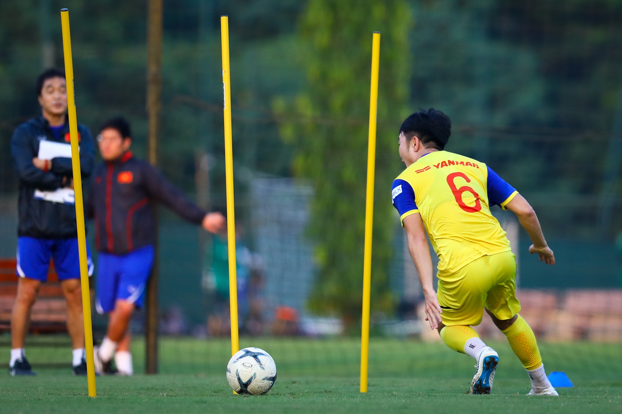 Xuan Truong da hong,  Tuan Anh chinh phuc anh 3
