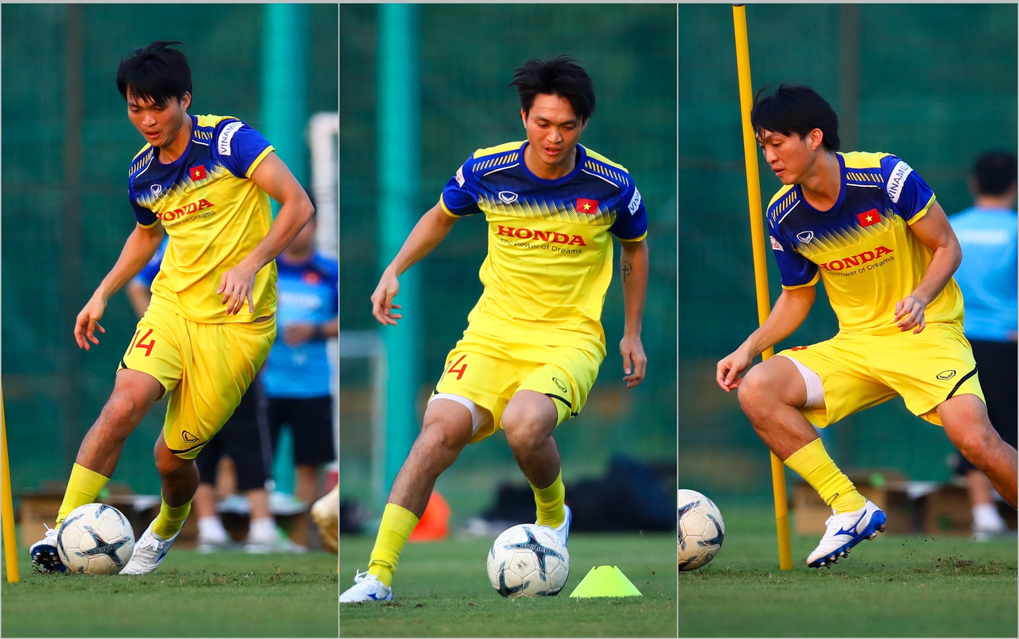 Xuan Truong da hong,  Tuan Anh chinh phuc anh 6