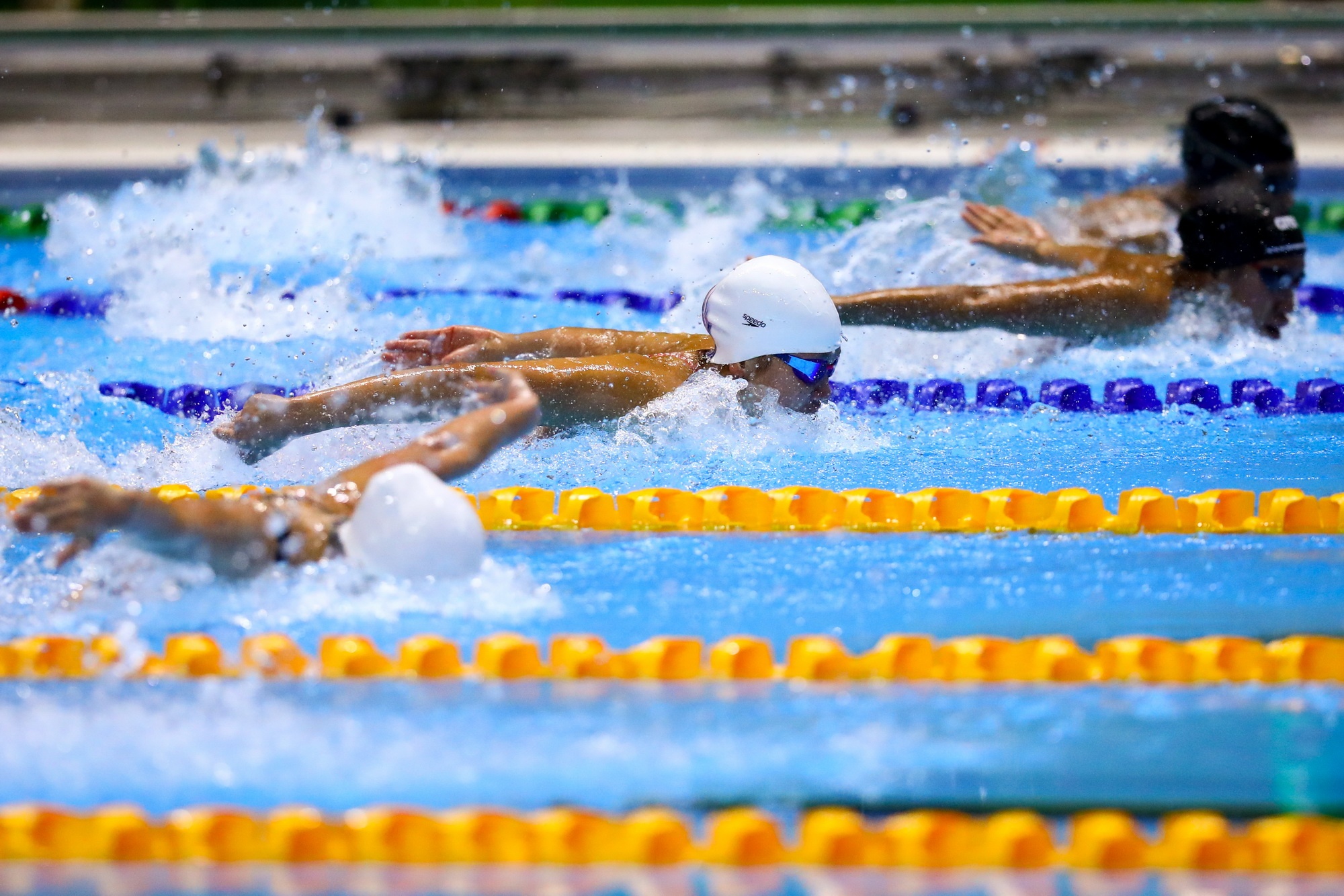 Ánh Viên SEA Games 30 ảnh 1 Anh Vien SEA Games 30 anh 1