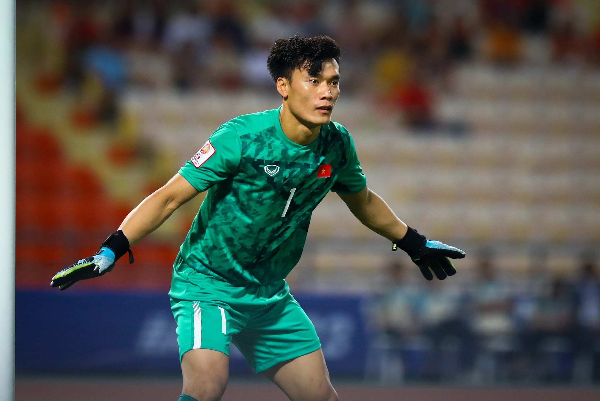 Lee Nguyen TP.HCM anh 4