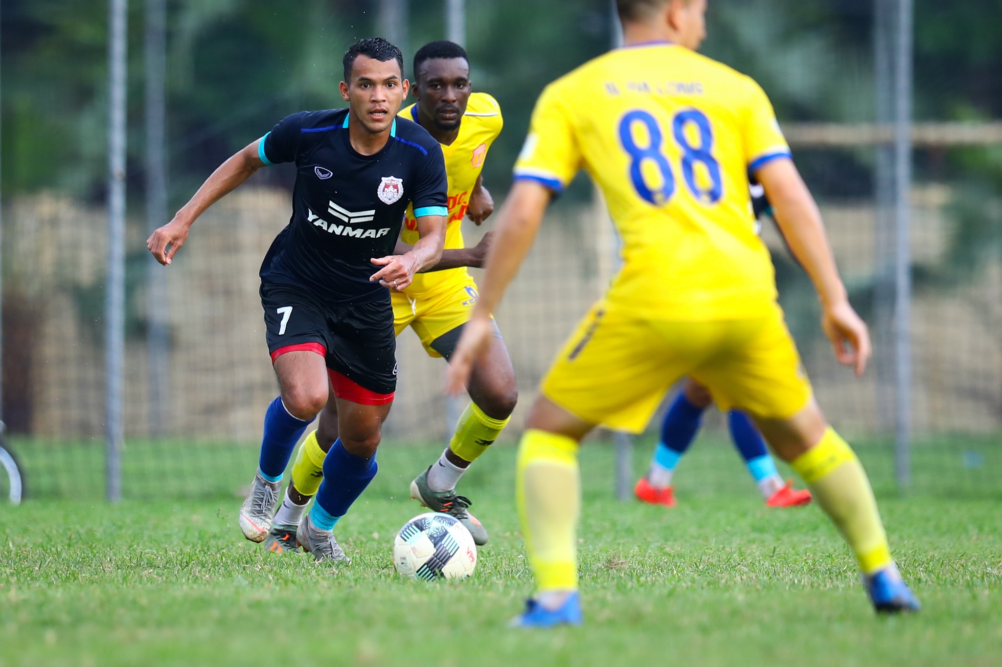 Do Merlo Nam Dinh anh 10