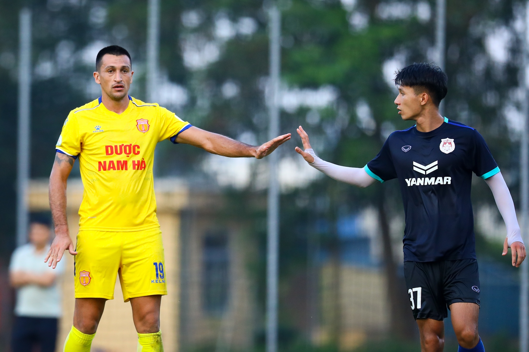 Do Merlo Nam Dinh anh 13