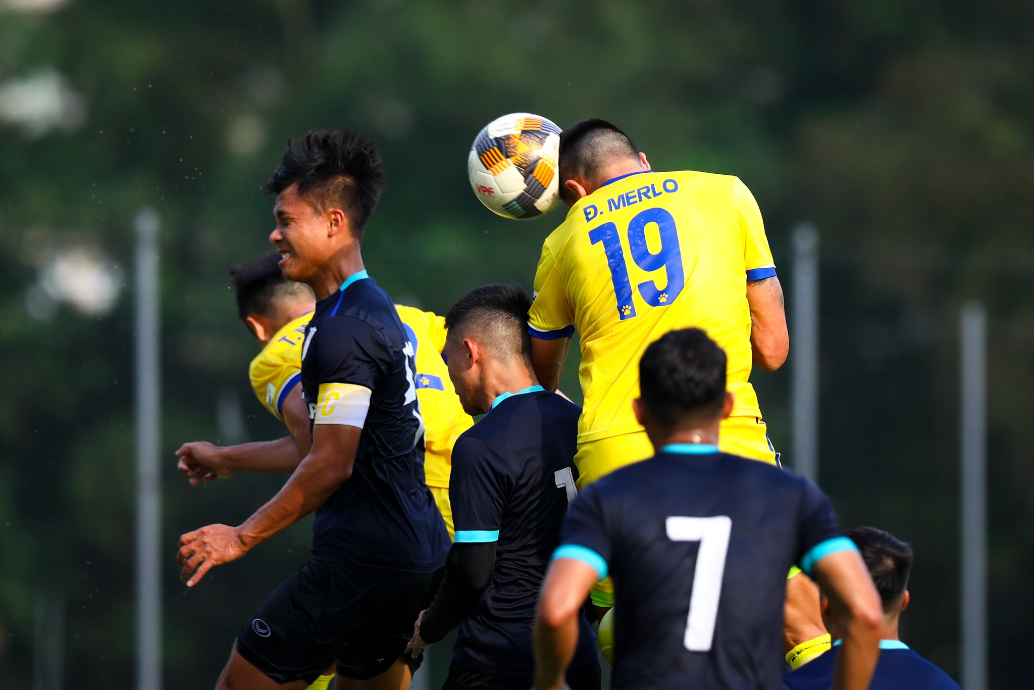 Do Merlo Nam Dinh anh 2