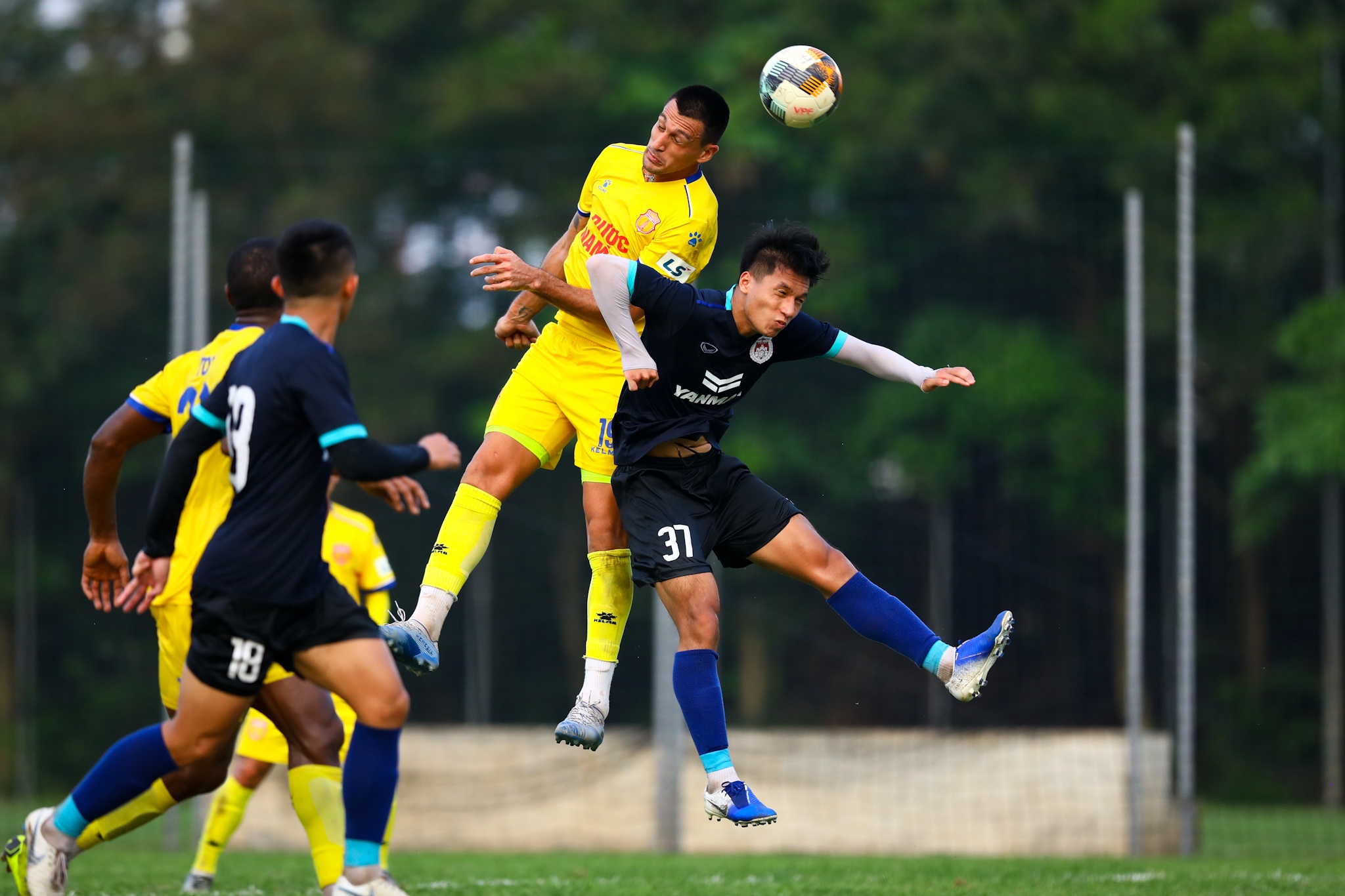 Do Merlo Nam Dinh anh 3