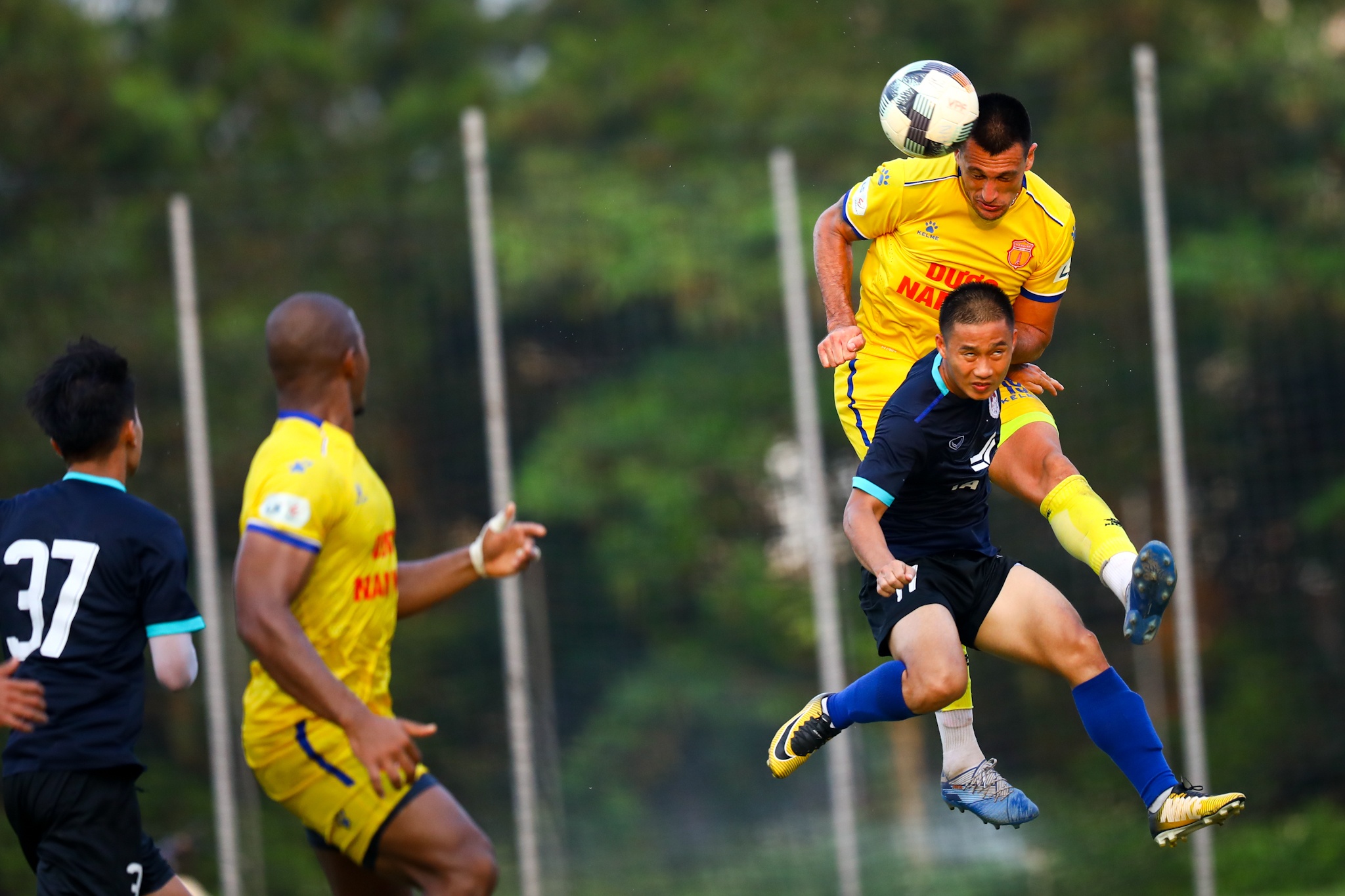 Do Merlo Nam Dinh anh 4