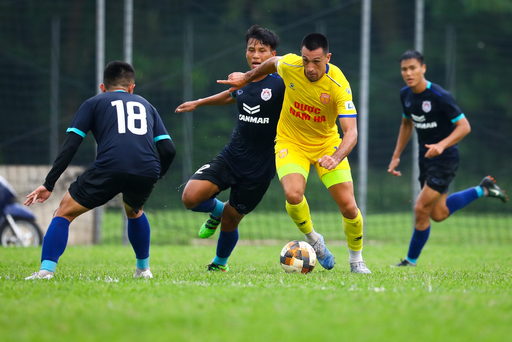 Do Merlo Nam Dinh anh 5