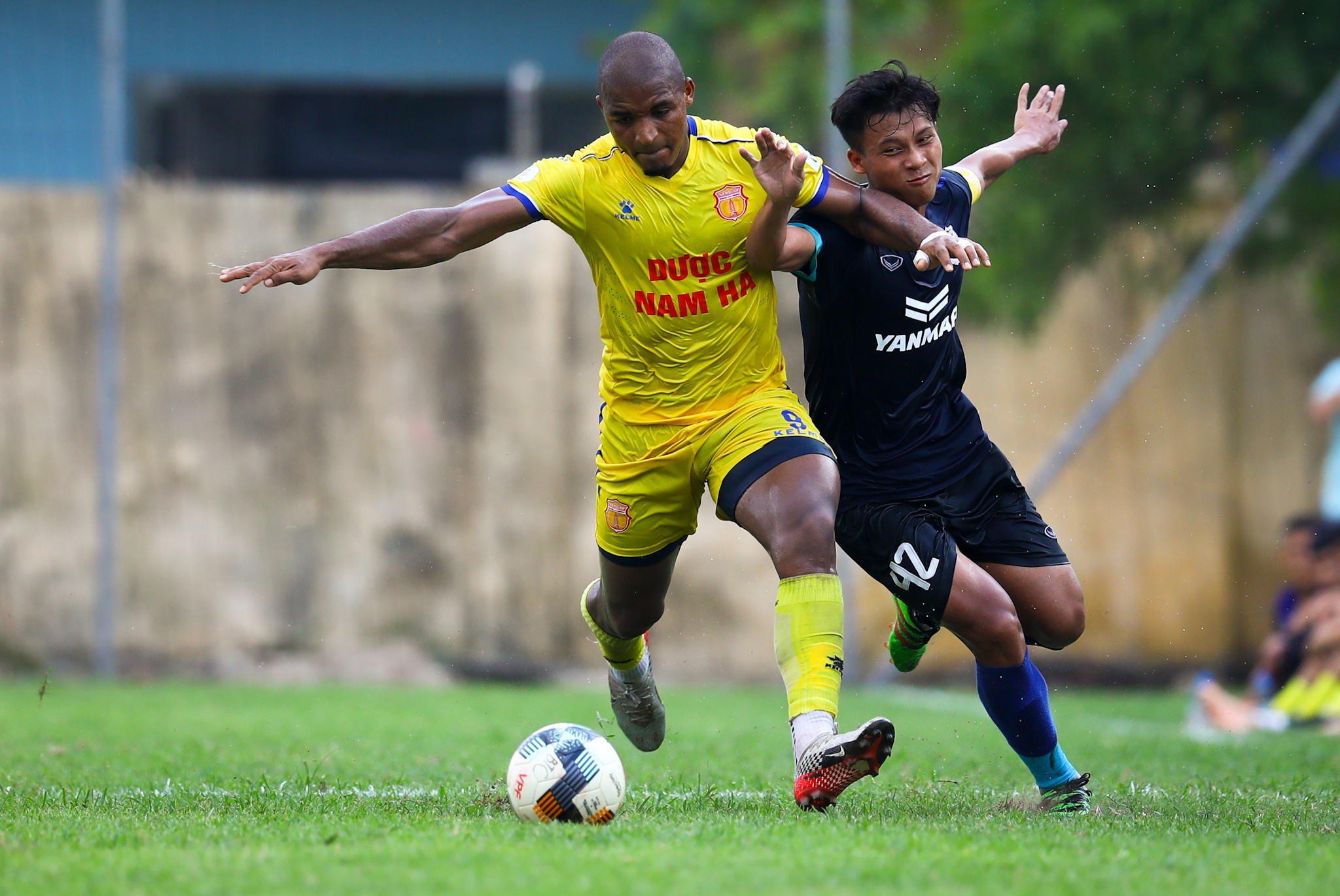 Do Merlo Nam Dinh anh 6