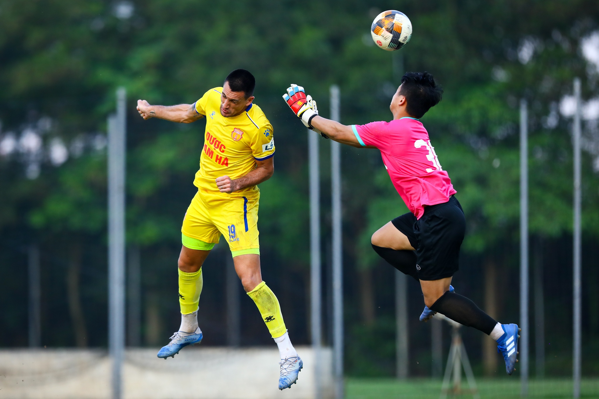 Do Merlo Nam Dinh anh 7