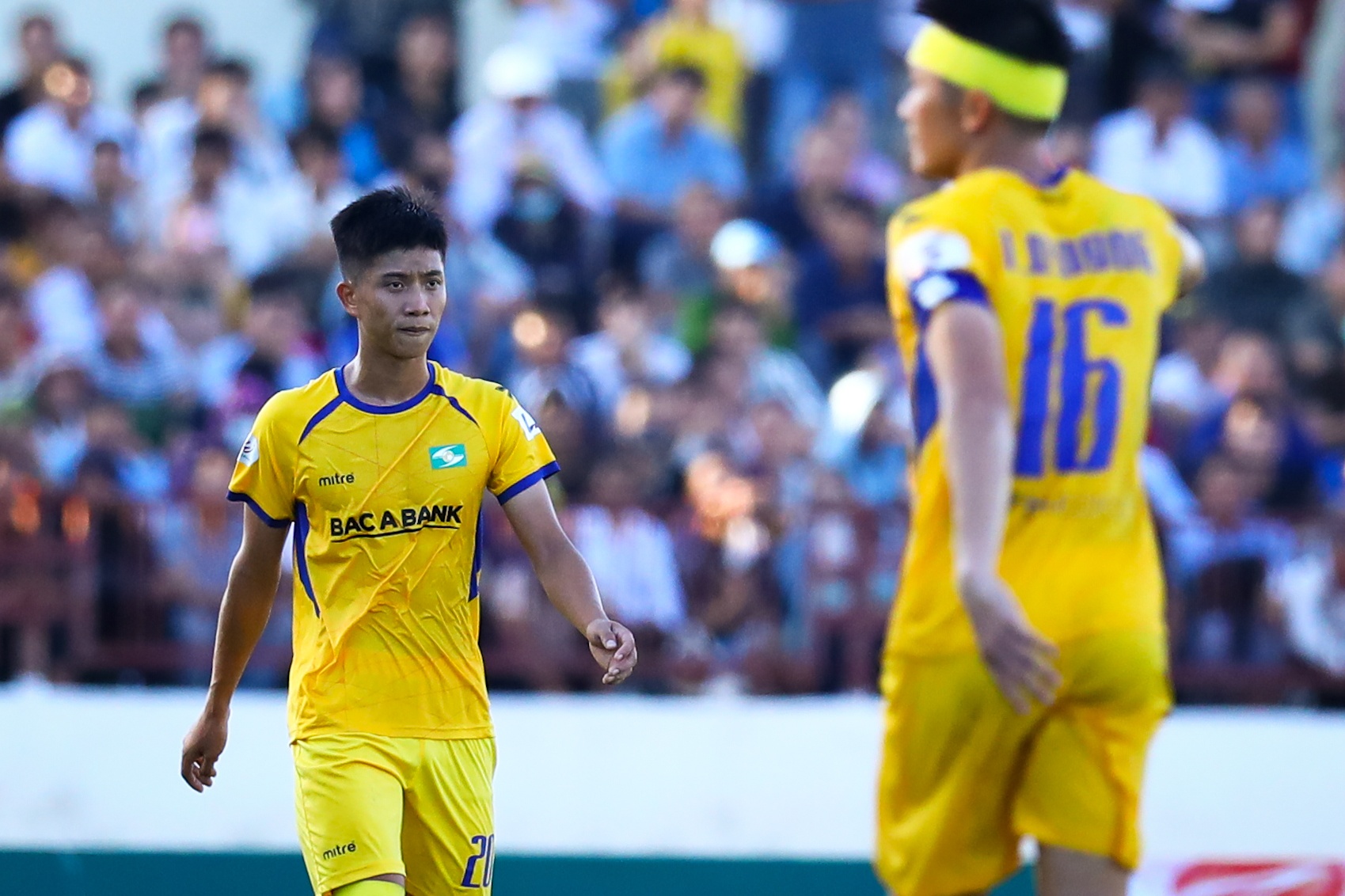 Van Hoang SLNA anh 9