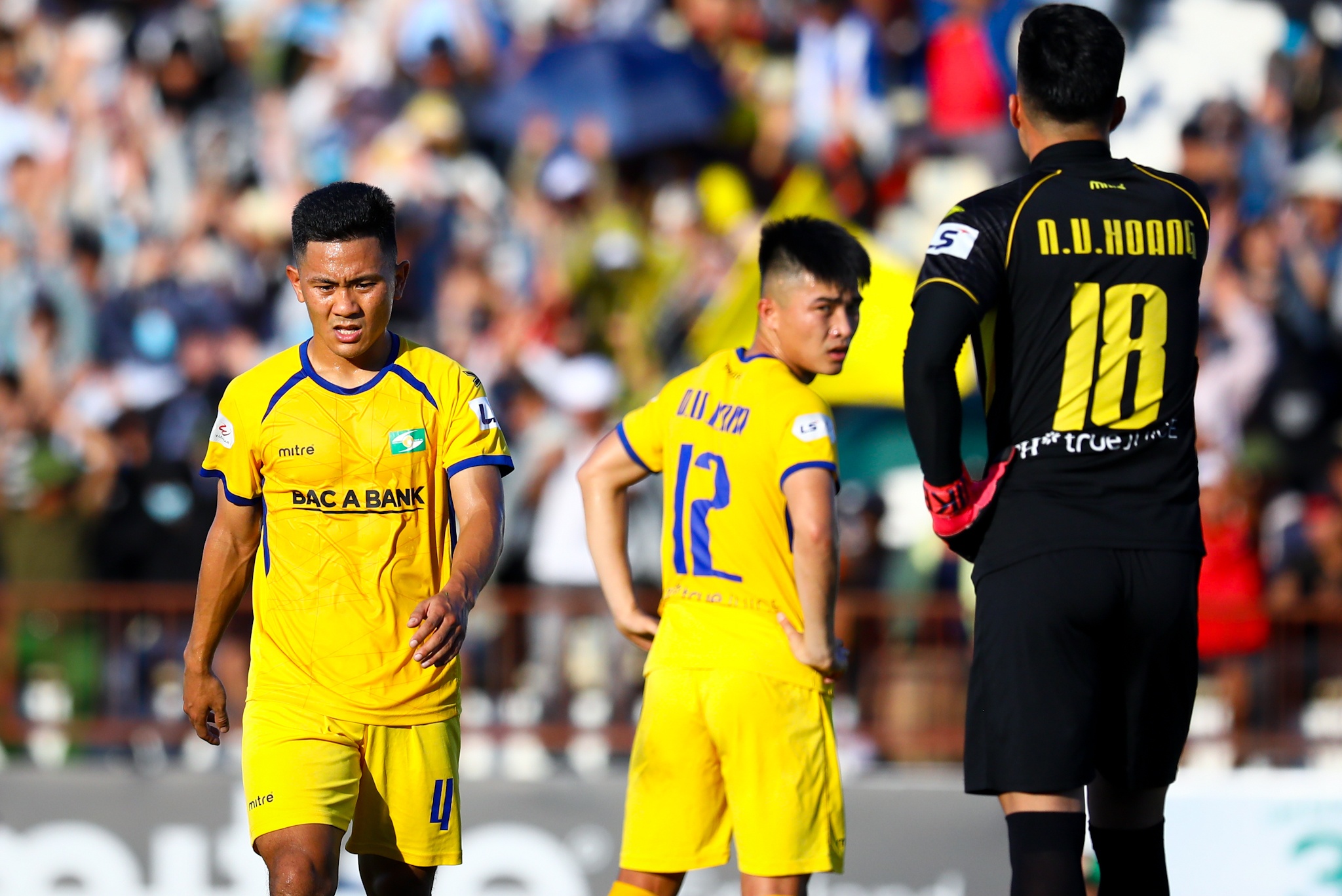 Van Hoang SLNA anh 1