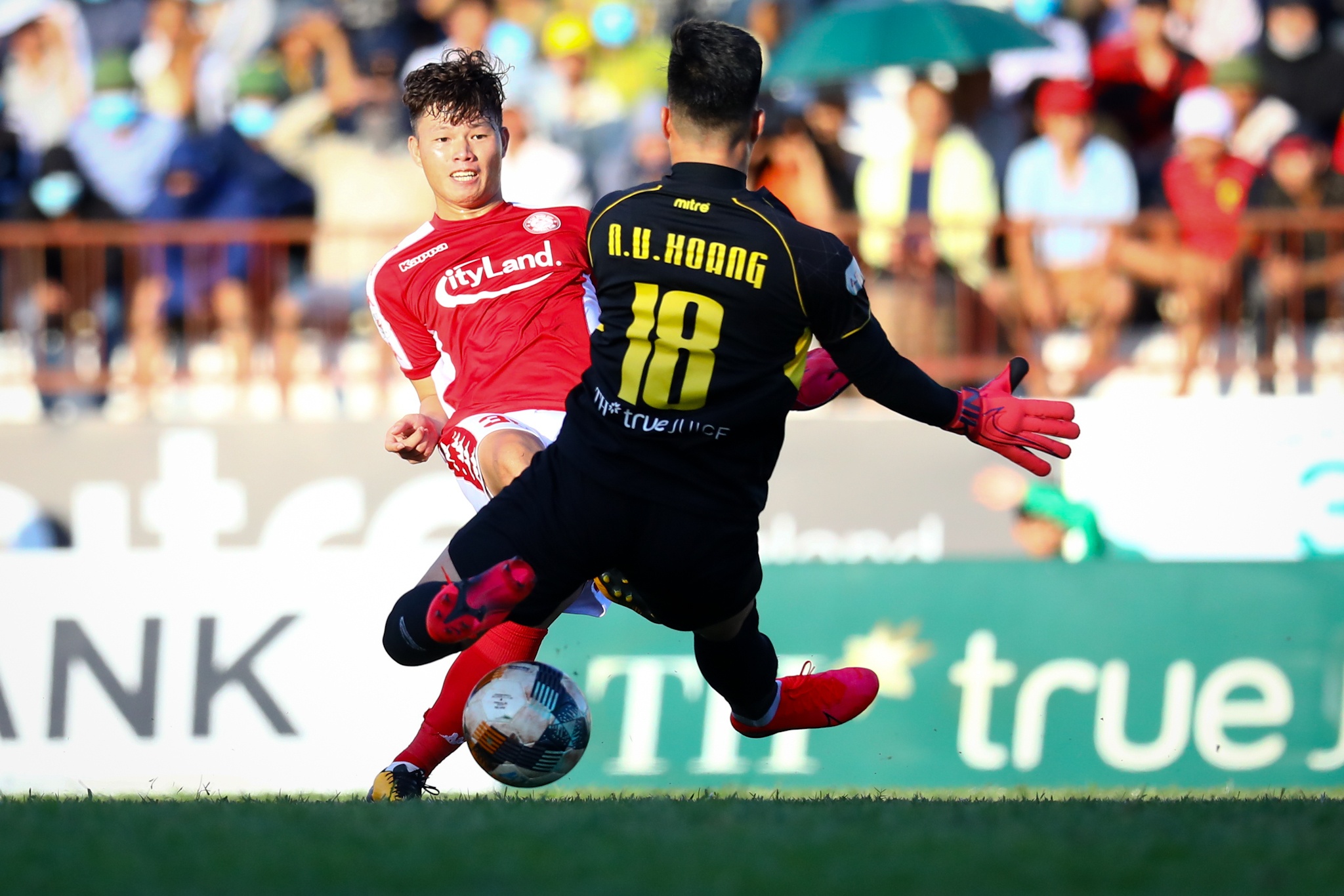 Van Hoang SLNA anh 4