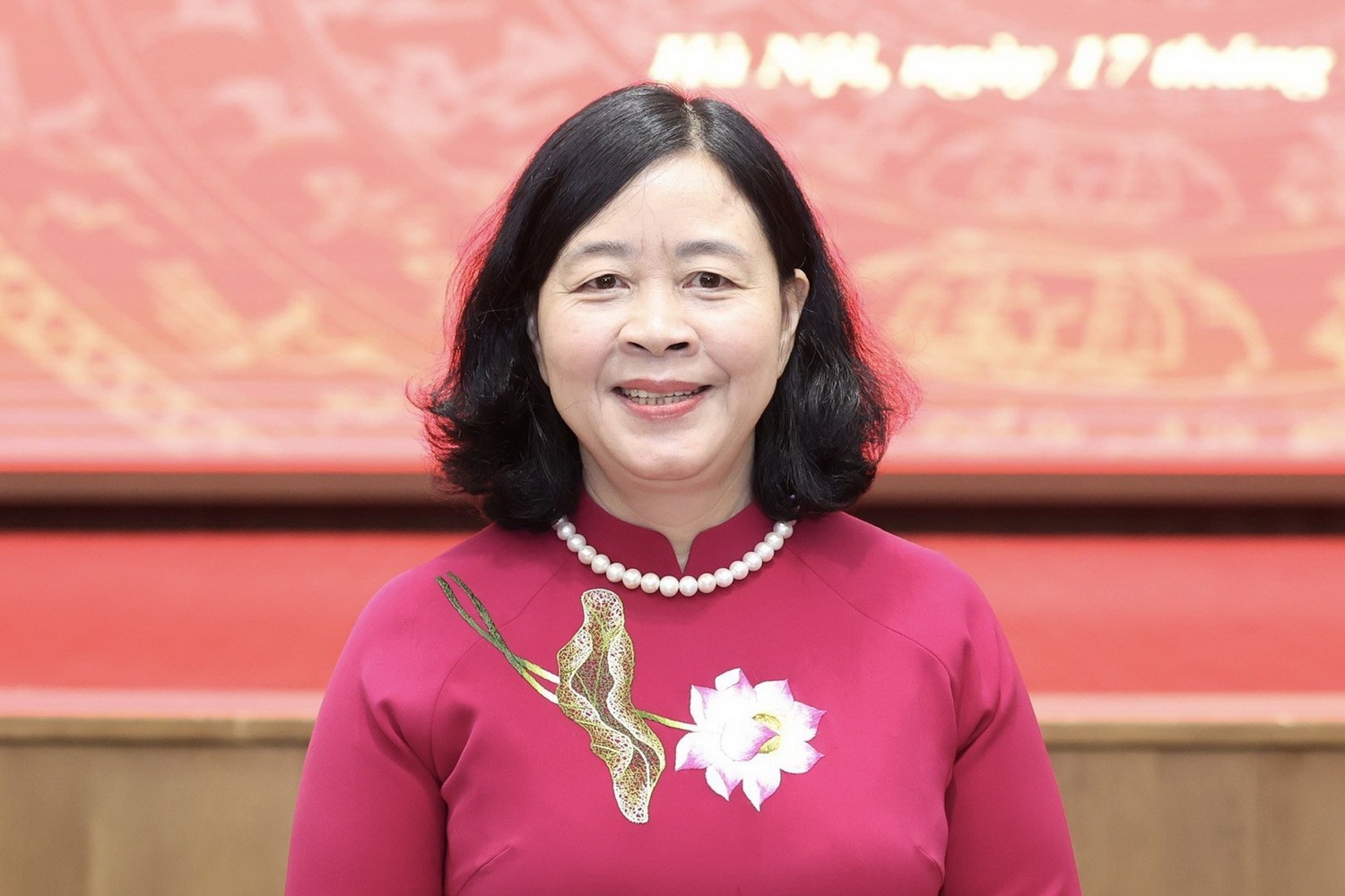 Tieu su ba Bui Thi Minh Hoai, tan Bi thu Thanh uy Ha Noi hinh anh