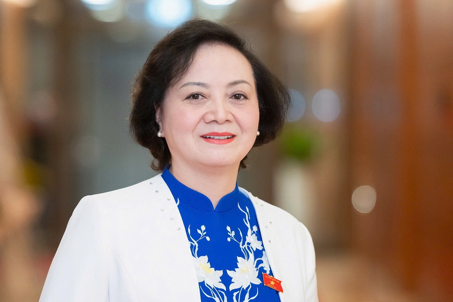 Tieu su ba Pham Thi Thanh Tra, nu Pho thu tuong dau tien hinh anh