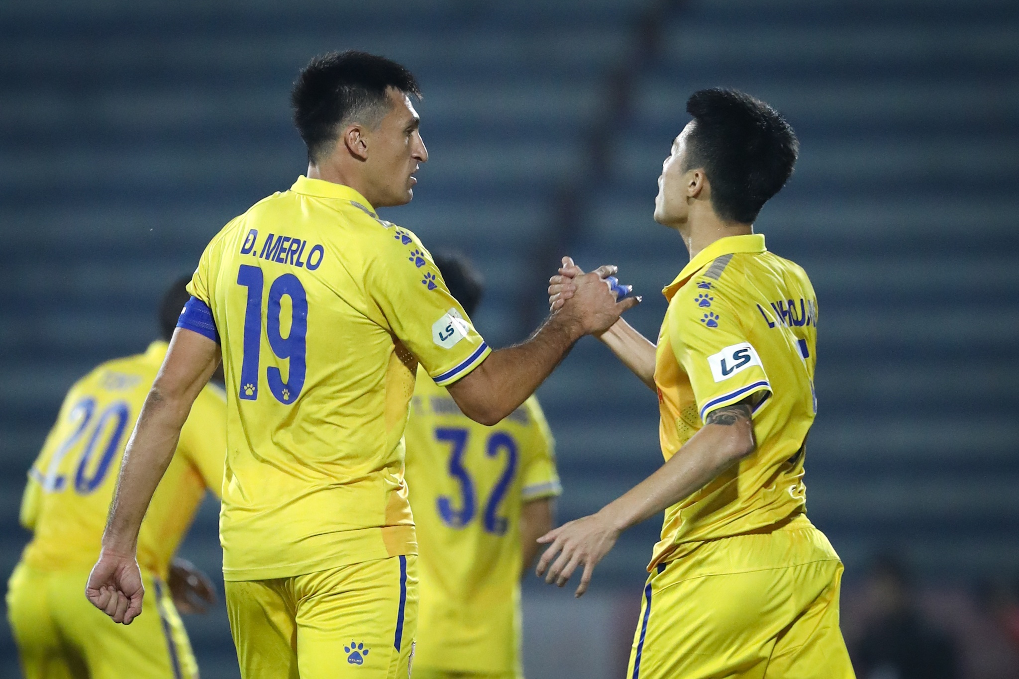 Do Merlo Nam Dinh anh 5