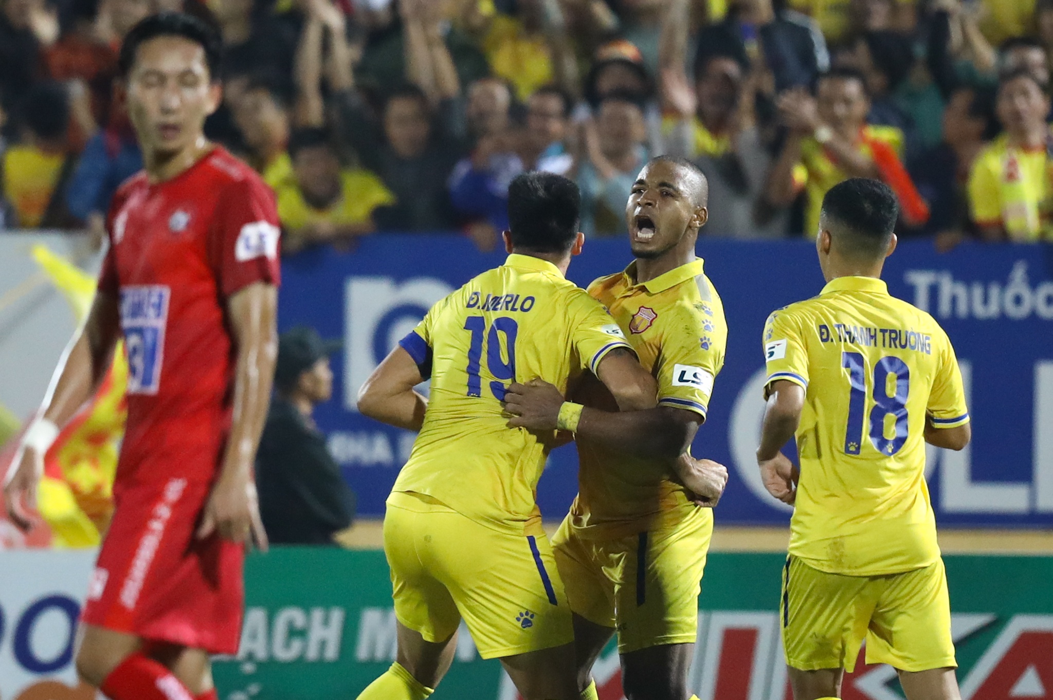 Do Merlo Nam Dinh anh 8