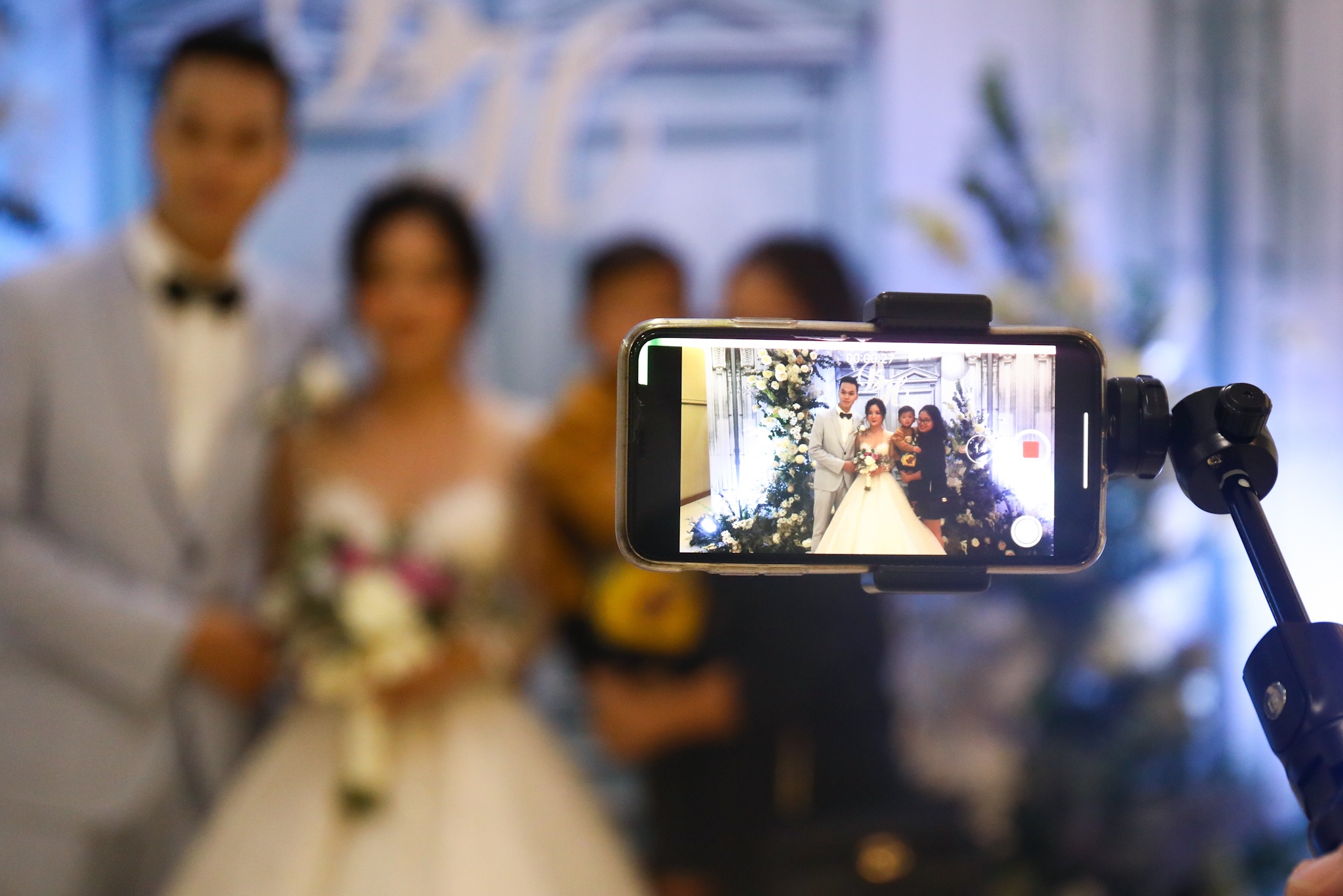 Chim Se Di Nang anh 1