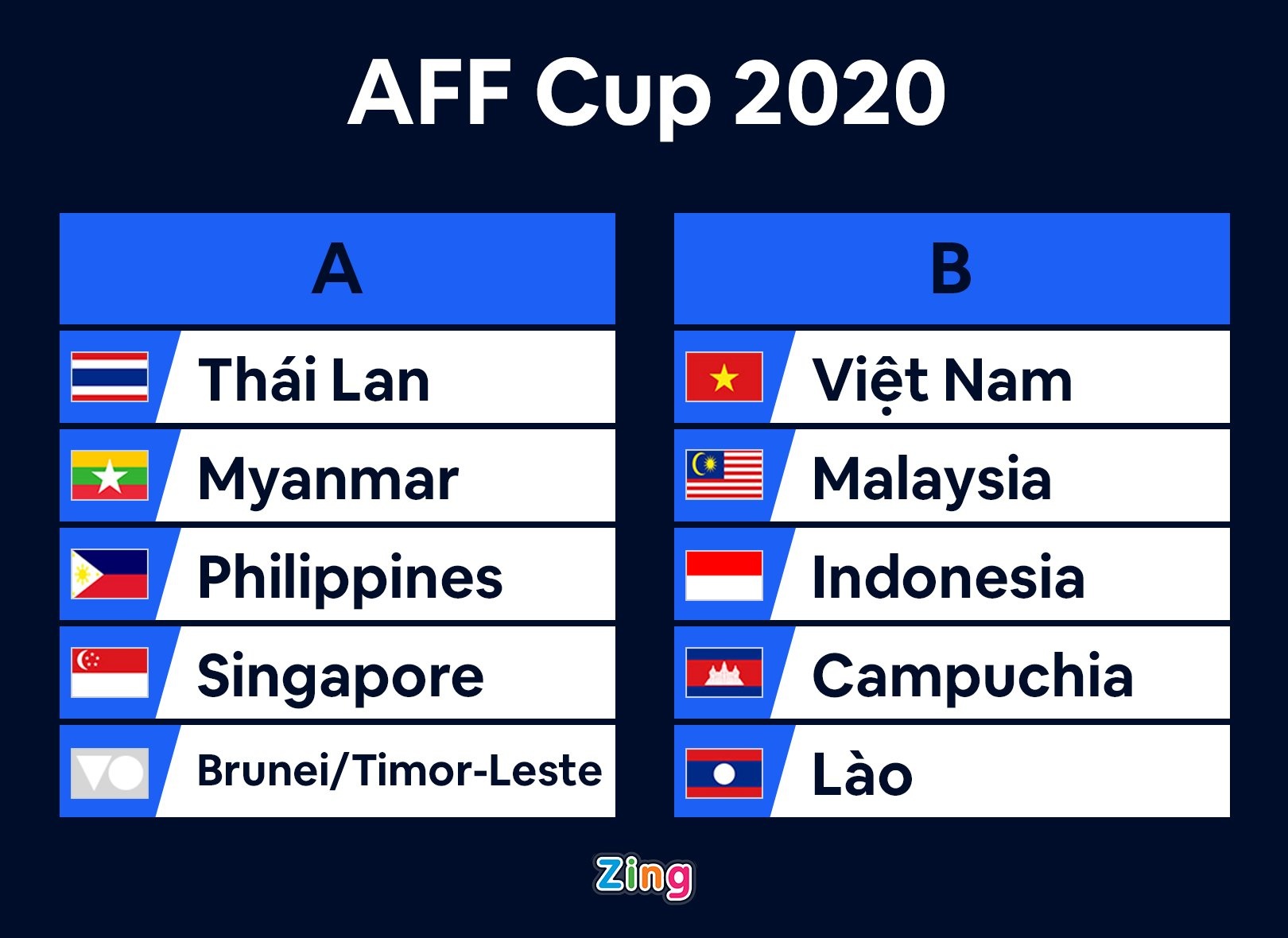 Tuyen Viet Nam AFF Cup anh 3