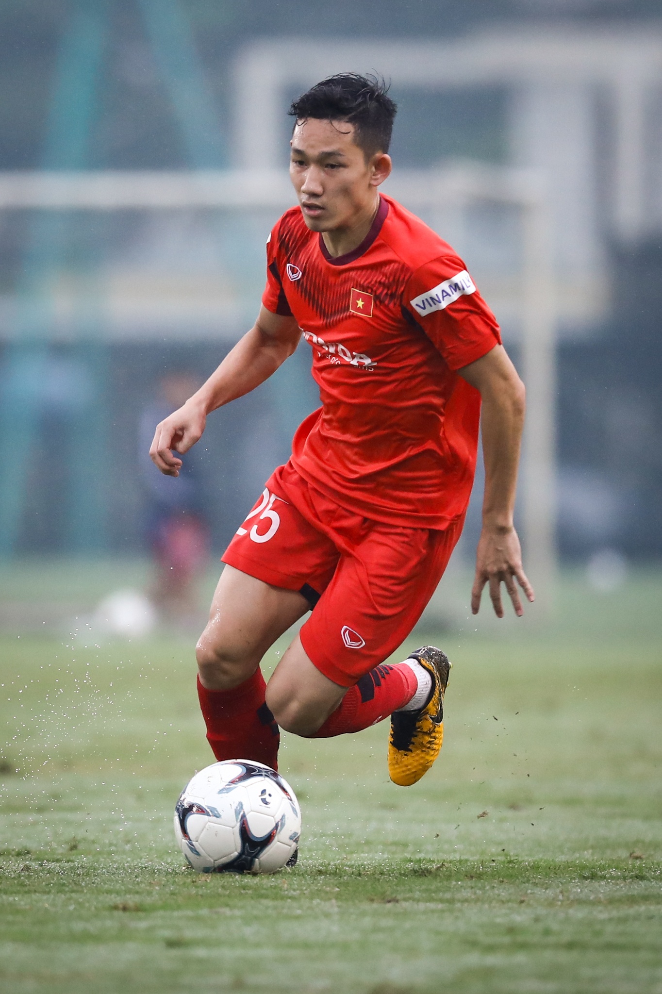 Tuyen Viet Nam AFF Cup anh 7