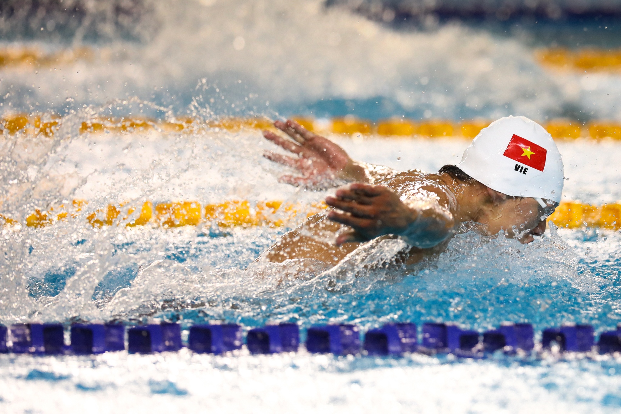 Joseph Schooling SEA Games 31 Boi loi Viet Nam anh 4