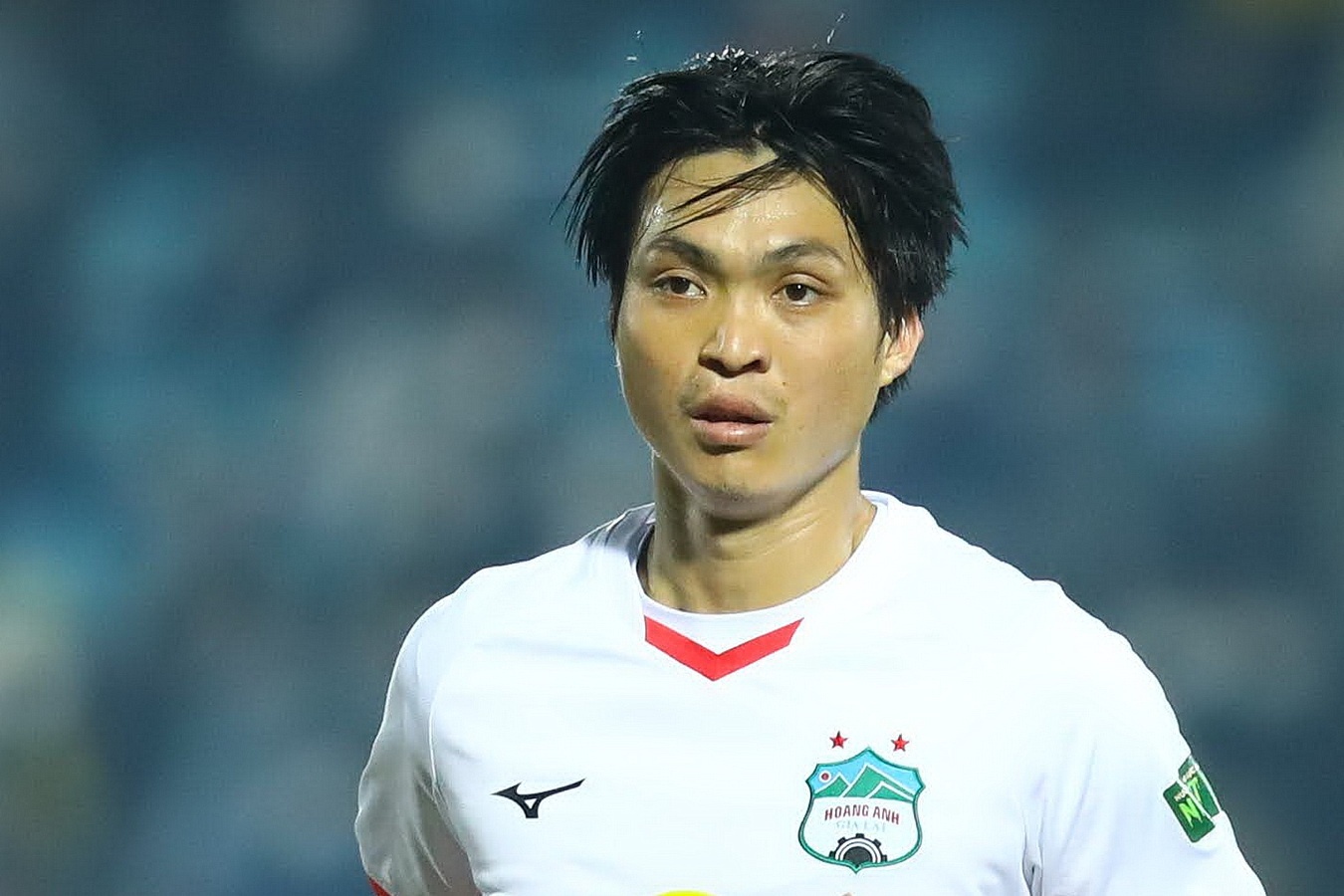 VPF: Khong ai muon HAGL bo V.League hinh anh