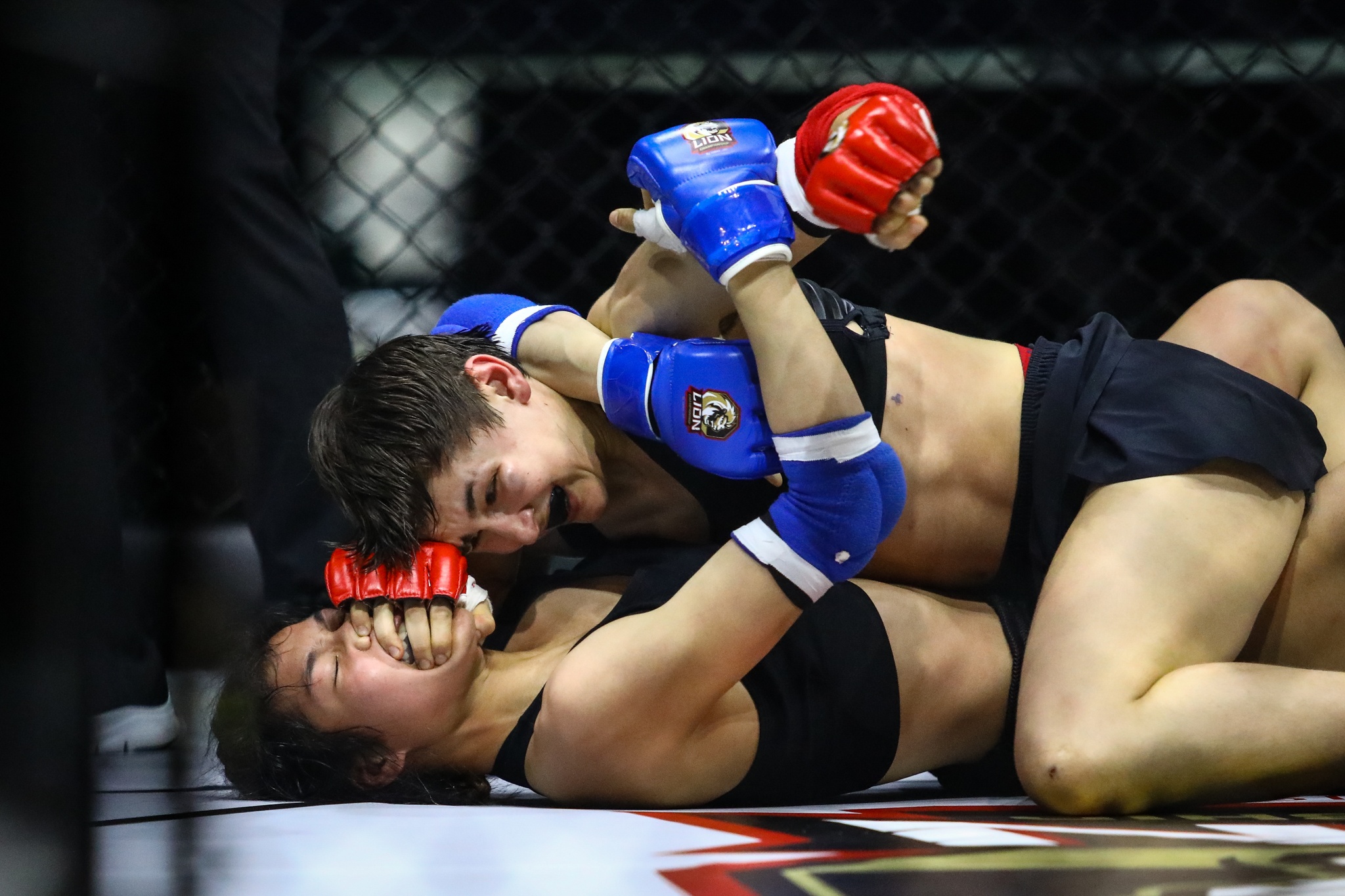 MMA Viet Nam Bianka Balajti anh 5