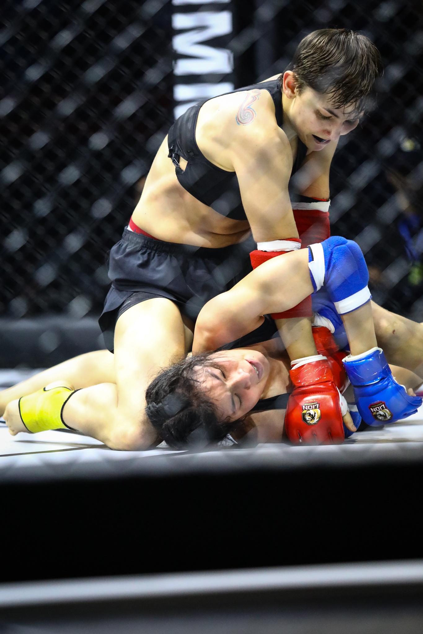 MMA Viet Nam Bianka Balajti anh 6