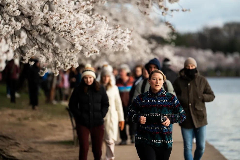 Stumpy ảnh 11 Stumpy anh 11