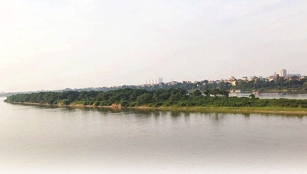 Ha Noi bao ve chim di cu o bai giua song Hong hinh anh