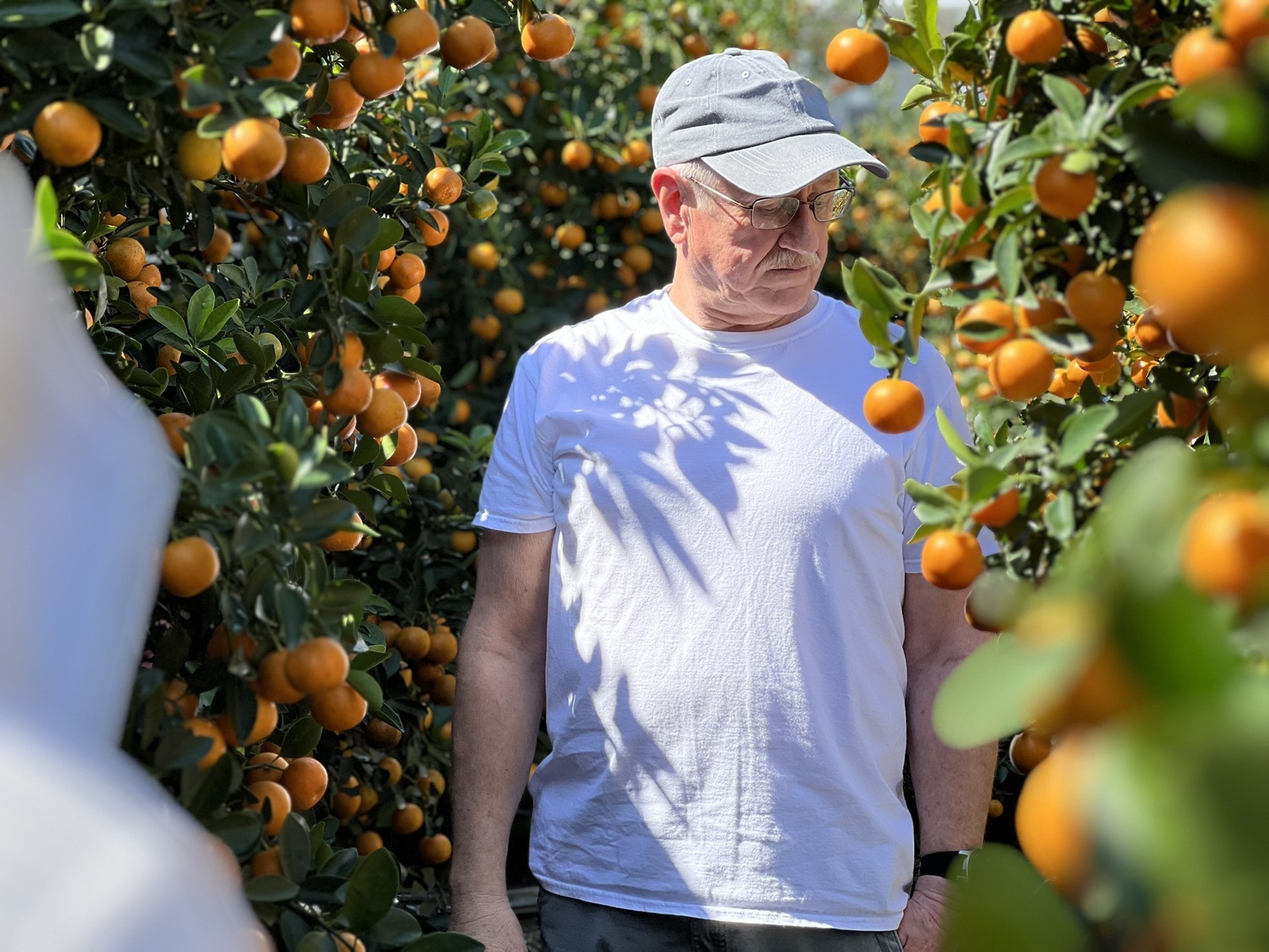 Hoi sinh cay e anh 9