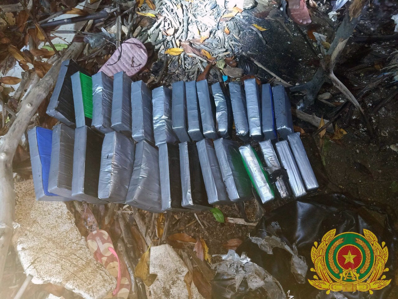 50 tui nghi ma tuy anh 1