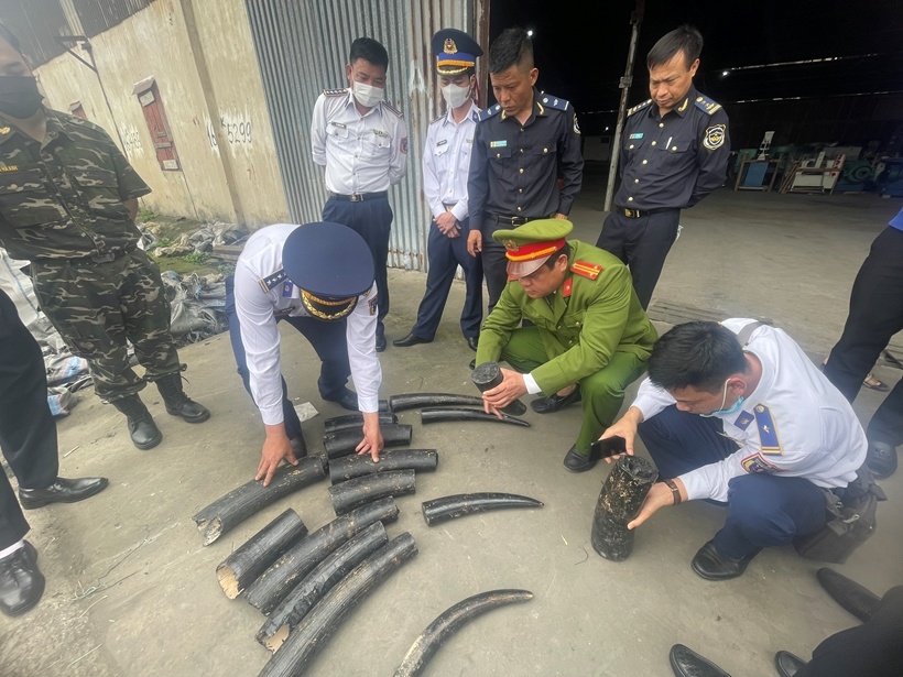 Nhập lậu ngà voi ảnh 1 Nhap lau nga voi anh 1