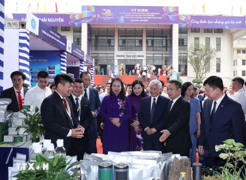 Vo Thi Anh Xuan anh 5