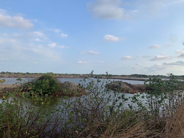 Tong giam doc Quoc Cuong Gia Lai to bi lua dao trong thuong vu mua dat hinh anh