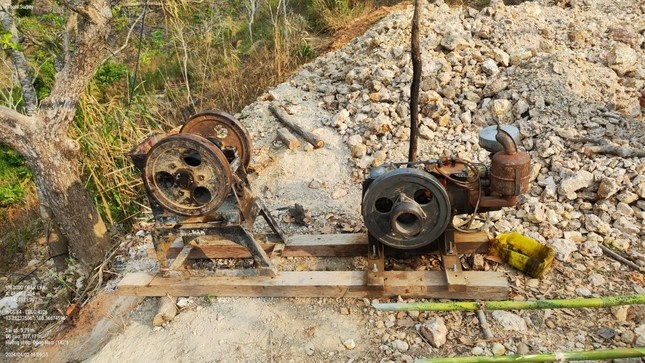 Đào vàng trái phép ảnh 1 Dao vang trai phep anh 1