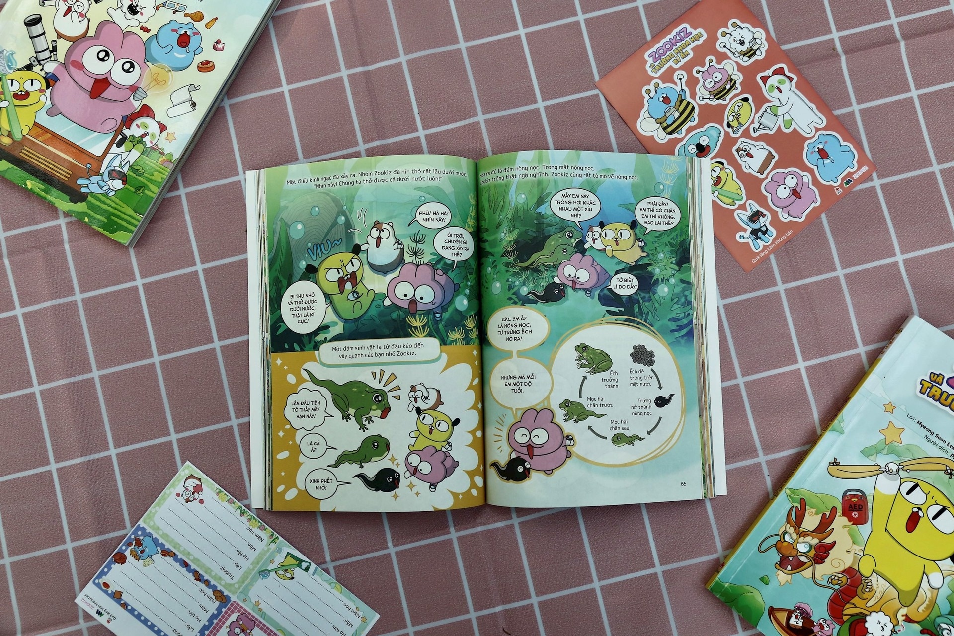 Zookiz ảnh 3 Zookiz anh 3