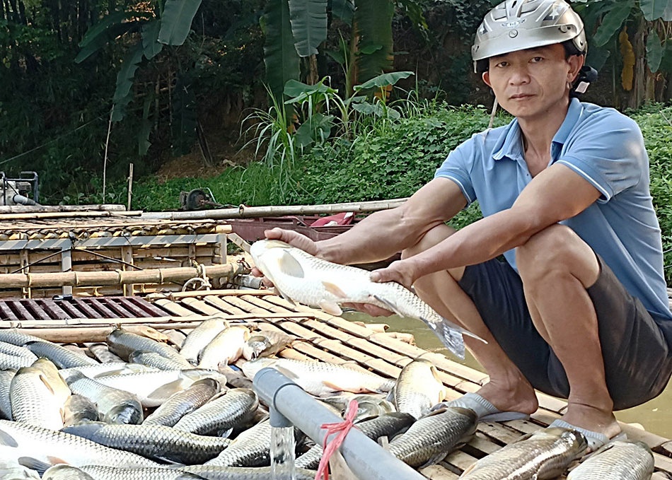 Ket qua xet nghiem vu ca chet trang long tren song Ma hinh anh