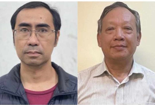 Gene Viet,  Cong ty Viet A,  Cong ty Vimedimex,  Cong ty NEAD anh 1