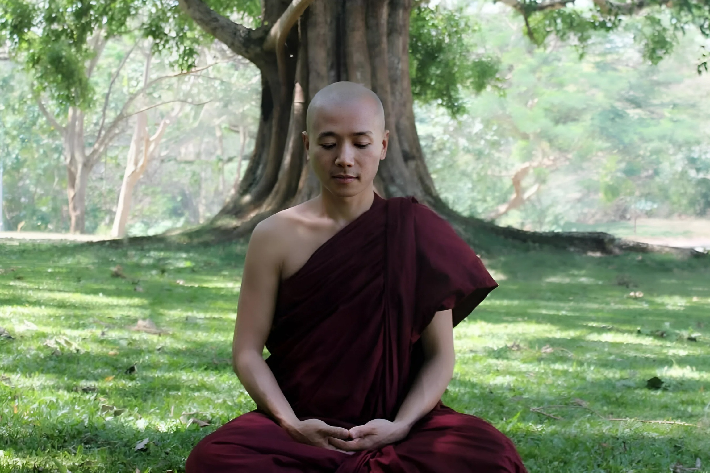 Nha su gioi tieng Anh, co hoc vi ngoai doi, xuat gia viet sach hinh anh