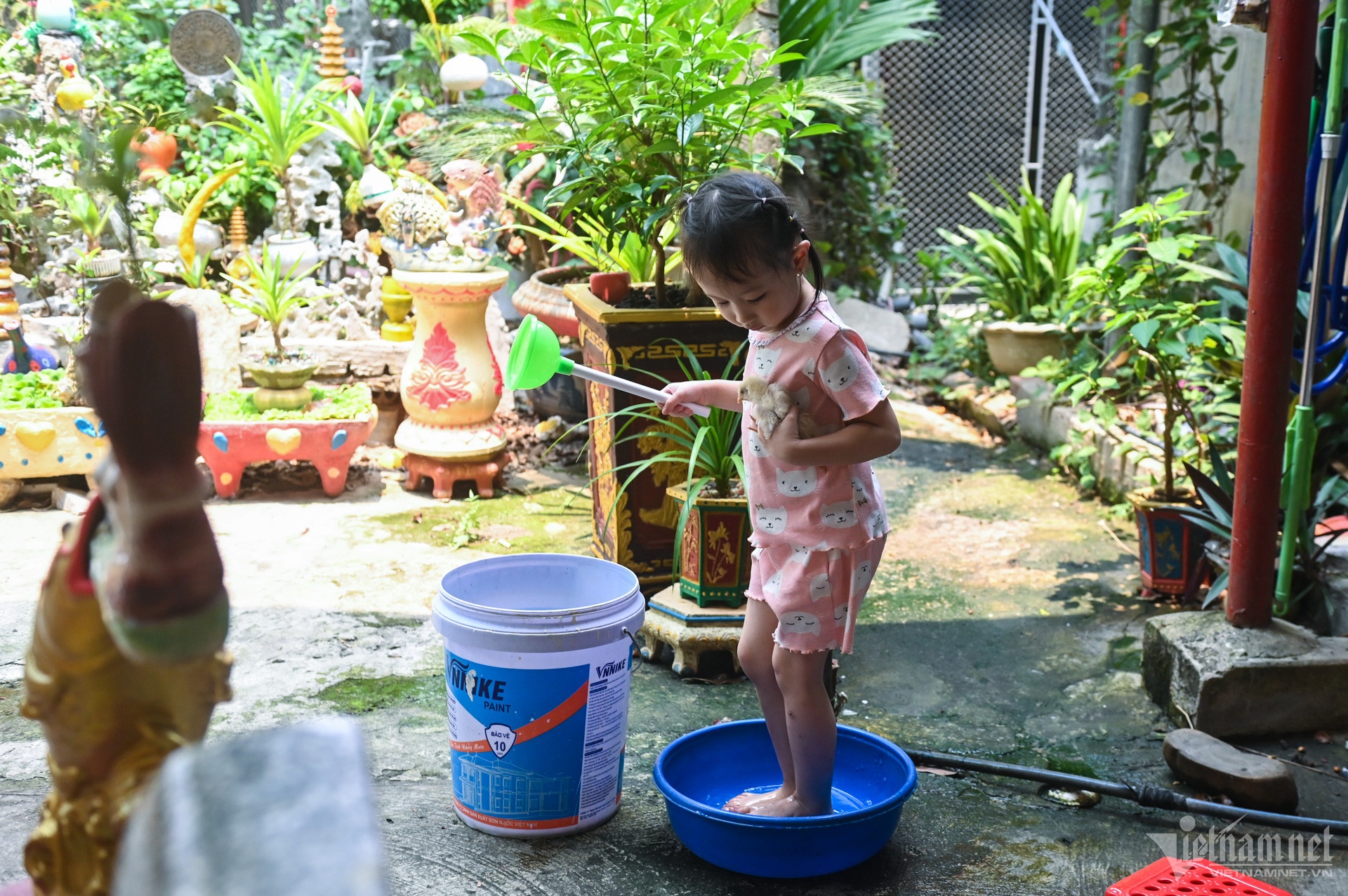 Tran Vy Tram Dien Bien anh 6